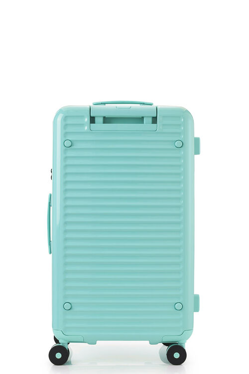 TOIIS BLOSSOM TRUNK  COVER