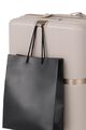MINTER SPINNER 55/20 SNI  hi-res | Samsonite