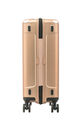 EVOA SPINNER 55/20  hi-res | Samsonite
