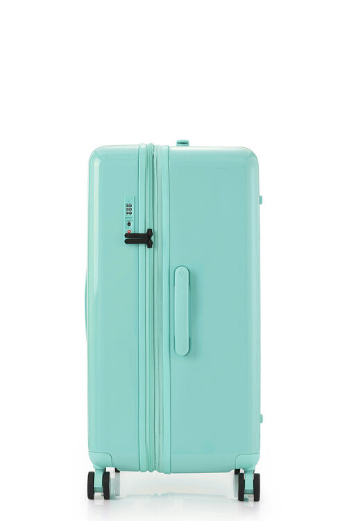 TOIIS BLOSSOM TRUNK  COVER