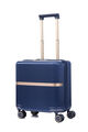 MINTER SPINNER 44/15  hi-res | Samsonite
