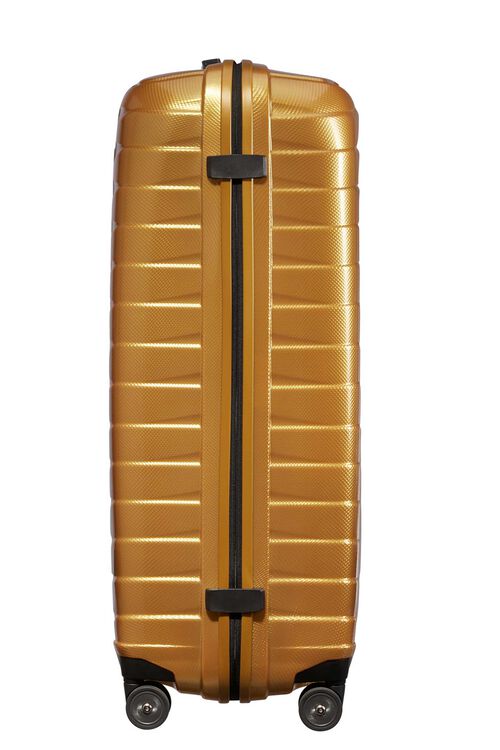 PROXIS SPINNER 81/30