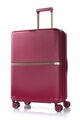 MINTER SPINNER 69/25 EXP  hi-res | Samsonite