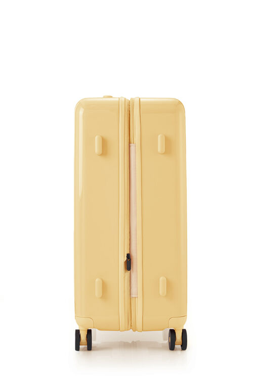 TOIIS BLOSSOM SPINNER 68/25 EXP  COVER