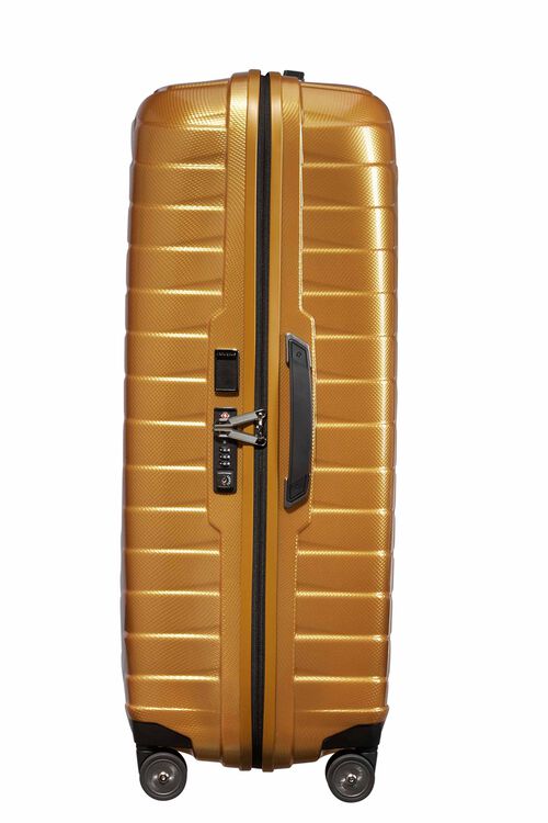 PROXIS SPINNER 81/30