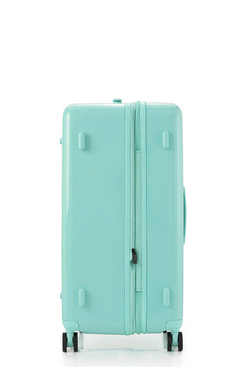 TOIIS BLOSSOM TRUNK  COVER