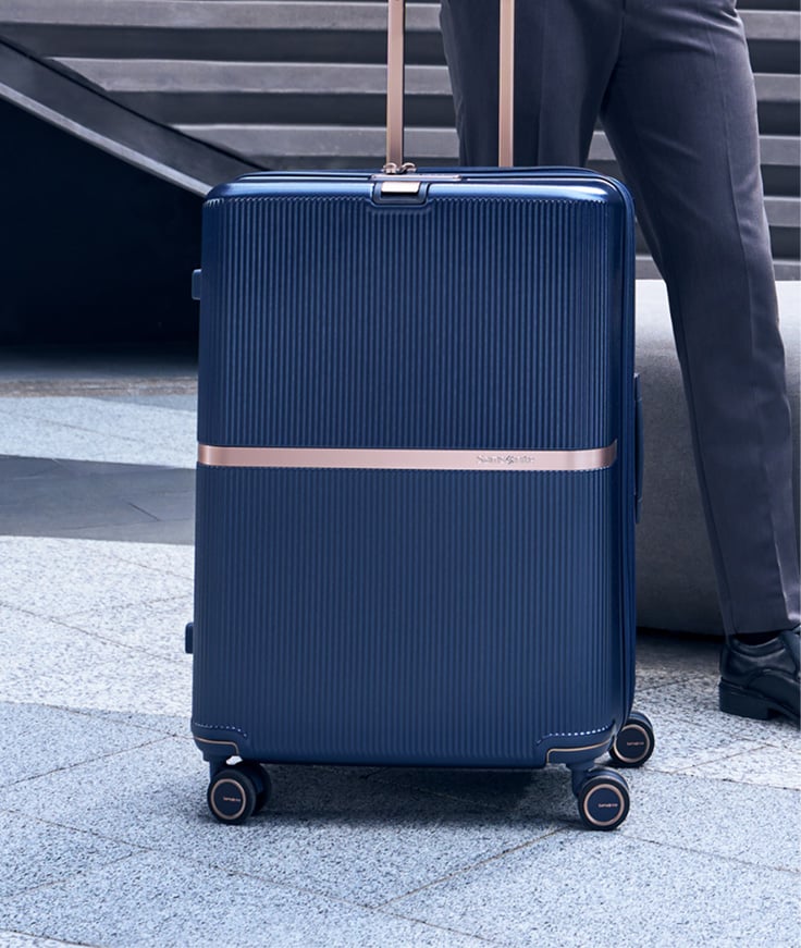 Luggage