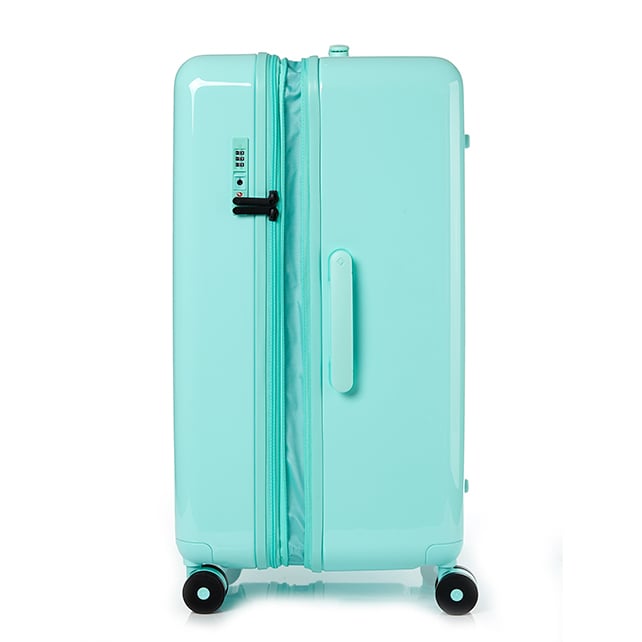 TOIIS BLOSSOM TRUNK  COVER