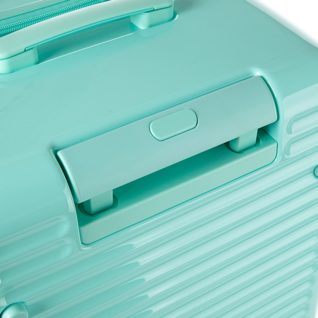 TOIIS BLOSSOM TRUNK  COVER